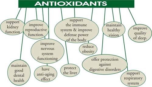 Antioxidant Depletion by Fluoroquinolones