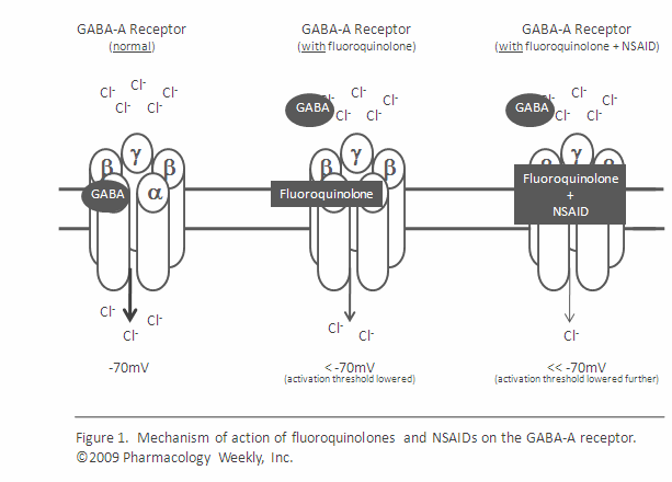 GABA receptors and fluoroquinolones