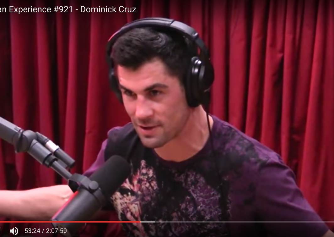 Dominick Cruz’s Cipro-Induced Tendon Rupture