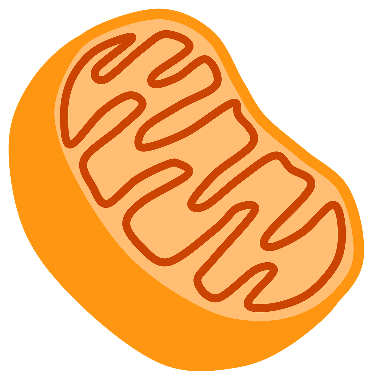 The Fluoroquinolone Time-Bomb – answers in the Mitochondria