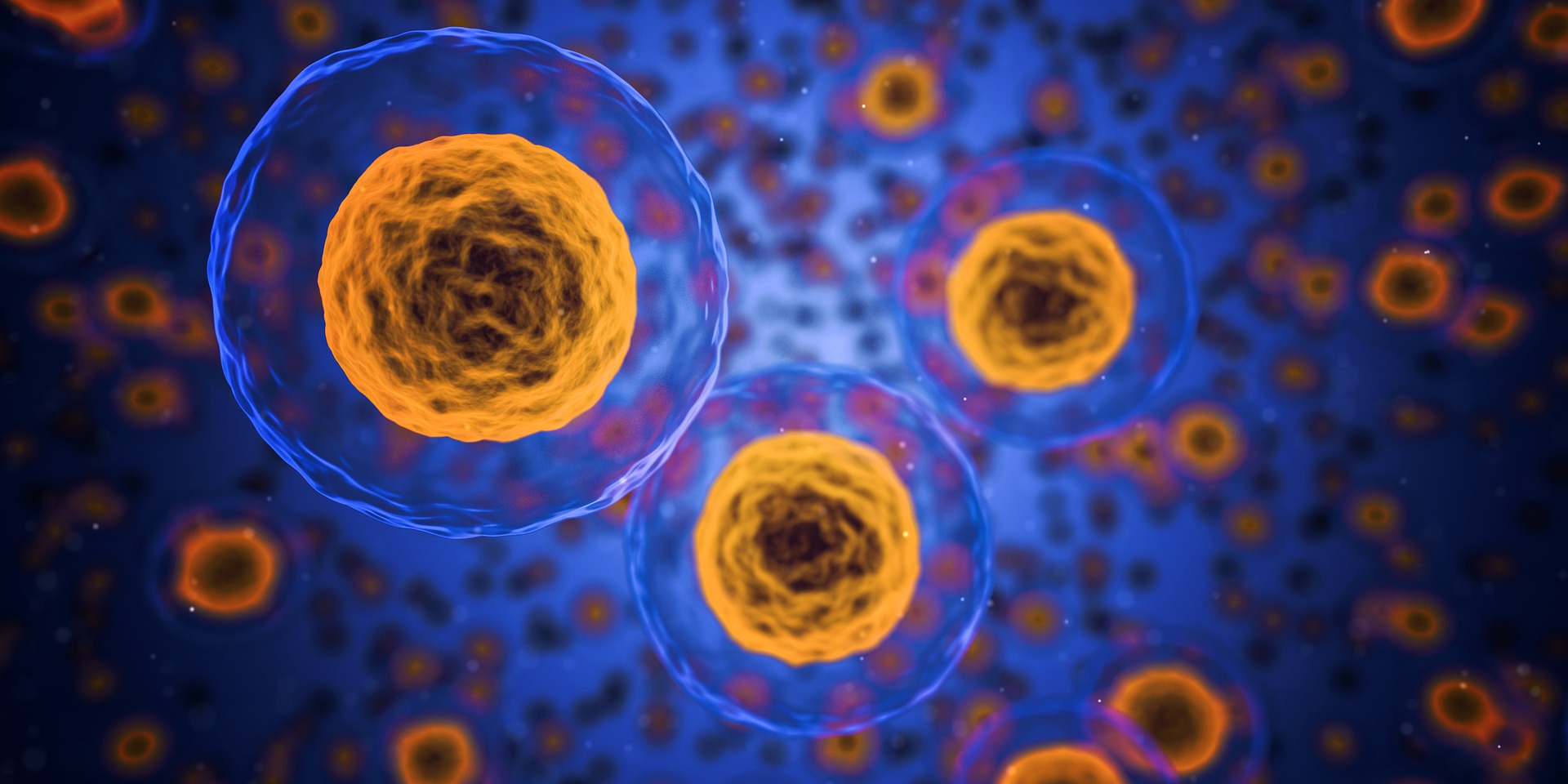 Are Damaged Mitochondria Causing Autoimmune Diseases?