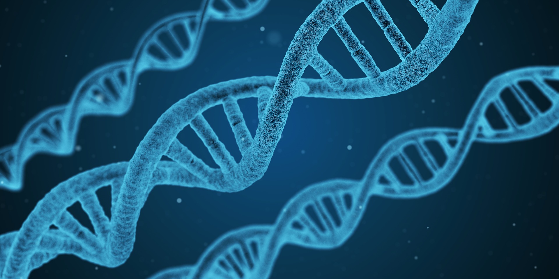 Conflicting Study Results: Do DNA Breaks Hold Answers?