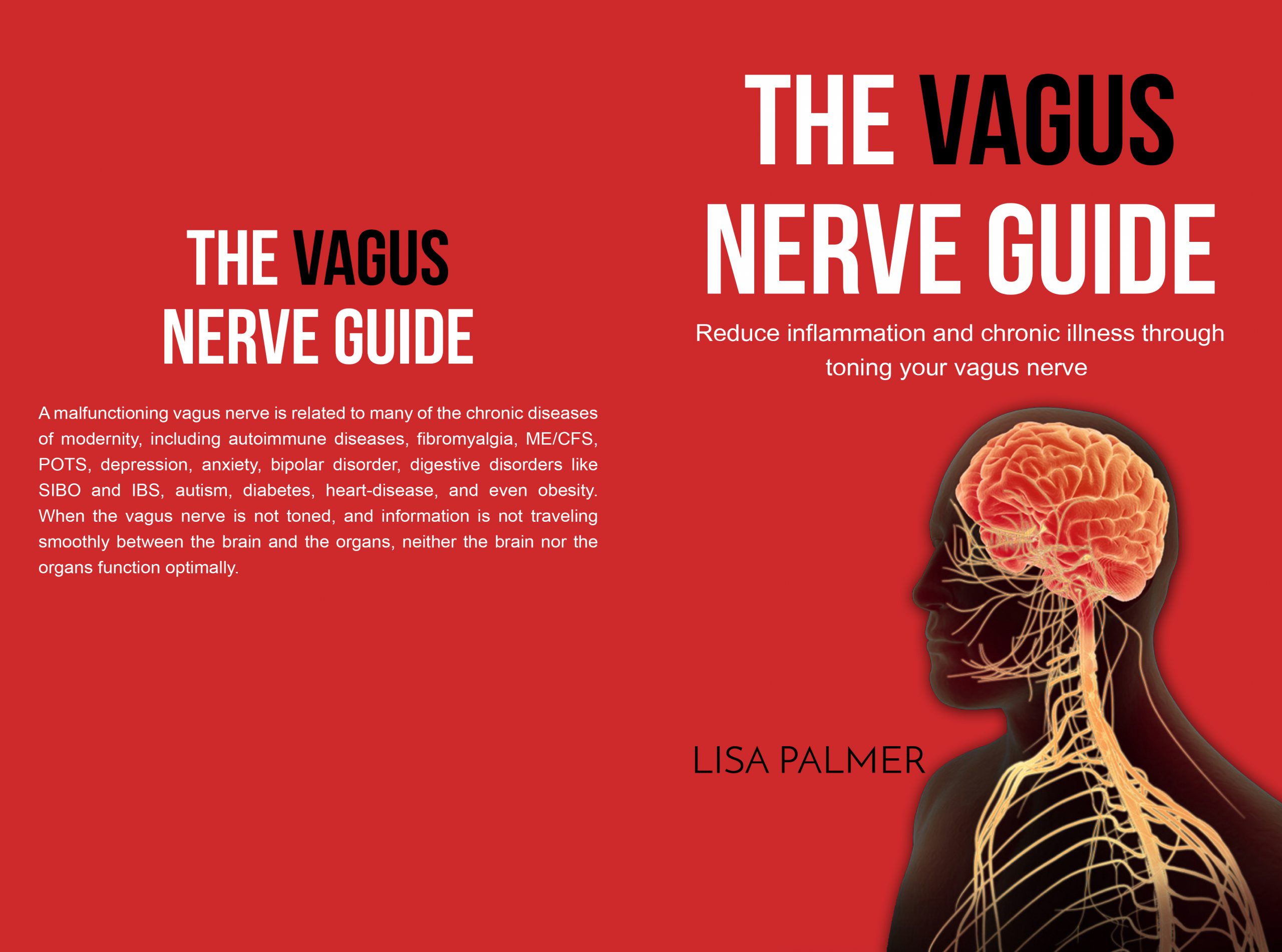 The Vagus Nerve Guide: Reduce Inflammation and Chronic Illness Through Toning Your Vagus Nerve