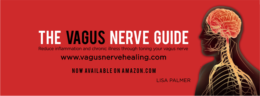 The Vagus Nerve Guide: Reduce Inflammation And Chronic Illness Through 